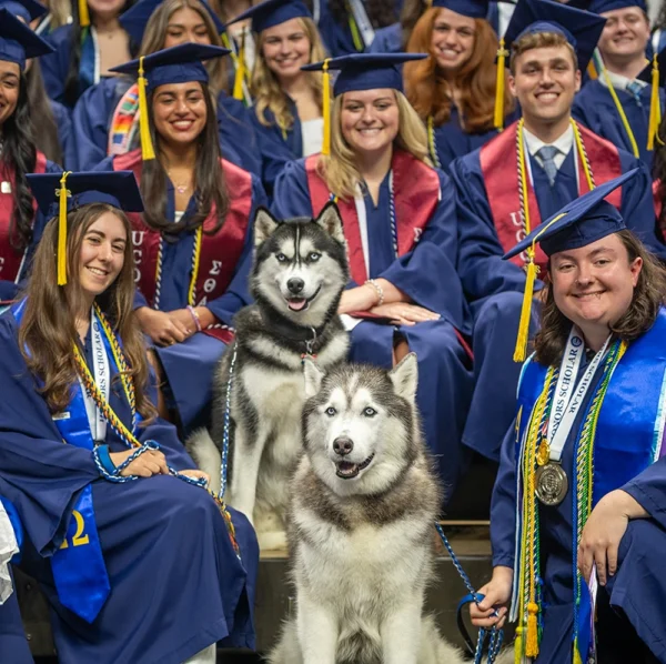 Students gathered around Jonathan the husky dog during commencement.