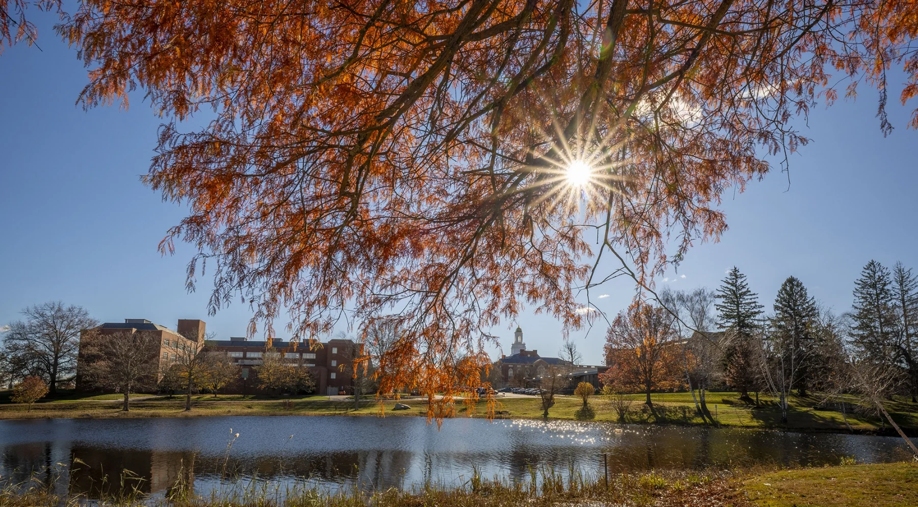 UConn Storrs campus in the fall with the Wilbur Cross building in background.